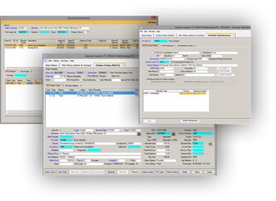 Legacy Add-ons platform — dense, form-heavy screens typical of late-90s enterprise software