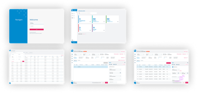 Final delivered UI — overview of screens shipped